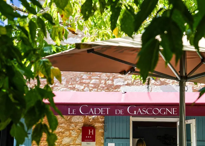 Le Cadet De Gascogne 3*