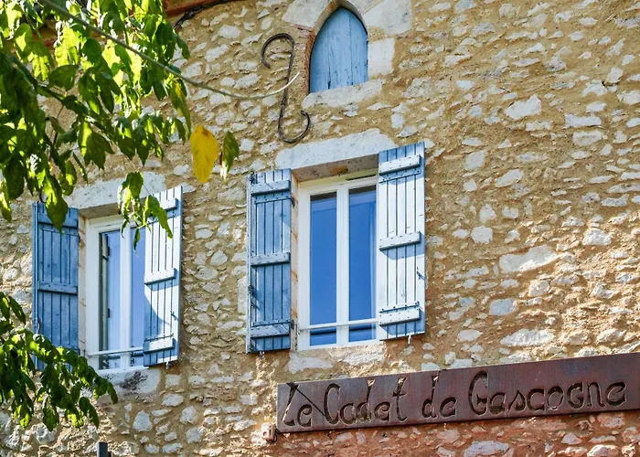 Le Cadet De Gascogne